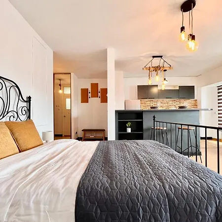 Nordic Urban Apartment